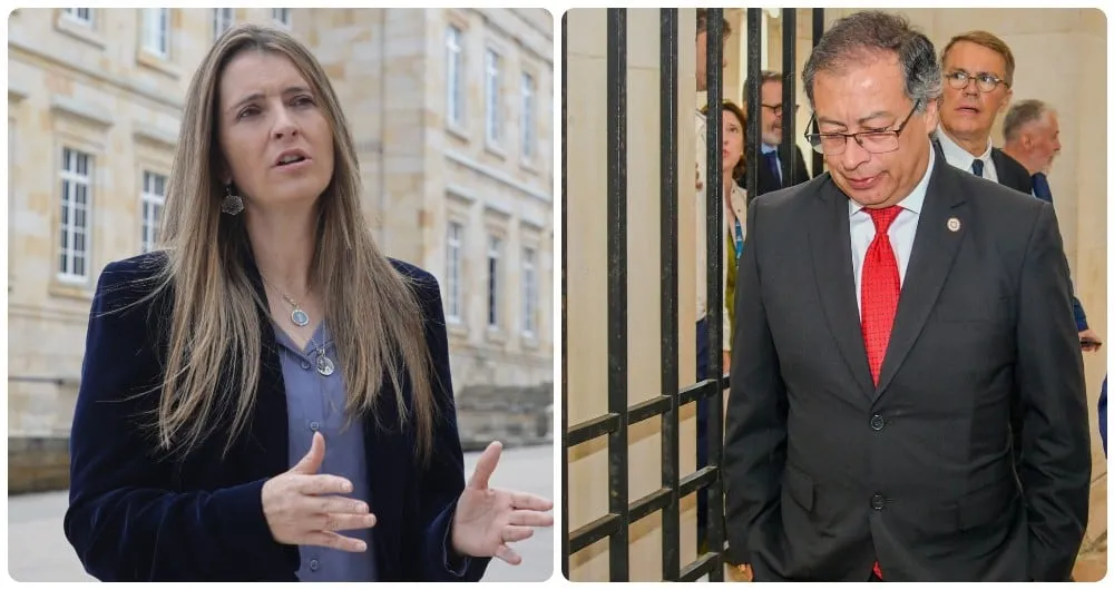 Wingz fue creado por la hija de la presidente de Frisby, Liliana Restrepo. Años después, Catalina se fue a vivir a EE. UU. y Frisby decidió comprar Wingz.