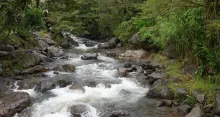 En Bucaramanga, hallaron el cuerpo de un hombre sin vida flotando en medio de un río y con varios golpes en la cabeza. Aún no se ha podido identificar.