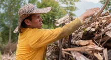 Eliminación de los artículos que contemplaban la modificación del trabajo rural y el jornal agropecuario supone un duro golpe para el Gobierno