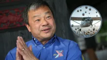 Ex astronauta de la NASA revela avistamiento de esferas voladoras a 2.700 metros