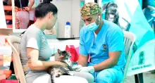 Detalles de dónde esterilizar a mascotas gratis en Medellín. paso a paso para hacer el registro y qué condiciones debe cumplir el dueño y el perro gato.