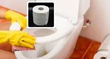 Por qué no limpiar inodoro con papel higiénico | Cómo limpiar inodoro para sarro y línea amarilla | Qué es mejor entre papel higiénico en inodoro o basura