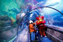 Estos son  los mejores acuarios para visitar en este 2025; ¿conoce algunos de ellos?