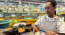 La página web de Shein estipula que los pedidos que cuesten más de 229.900 pesos tendrán envío gratis a Colombia. Si no, este costará 31.900 pesos.