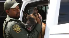 • Los oficiales interceptaron un cargamento que los tomó por sorpresa.