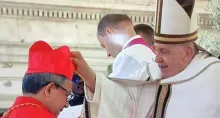 José Rueda será el único colombiano que estará en el Cónclave y será candidato a ser el nuevo papa. Hay otros dos cardenales más, pero no podrán votar. 