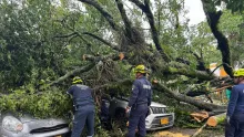 • En Neiva los aguaceros han sido constantes, casi diariamente, y han generado caída de árboles e inundaciones.
