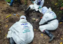 Los cuerpos estaban en una zona de dificil acceso en Jamundí, Valle del Cauca.
