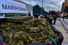 Caída de un 36% en incautación de marihuana.