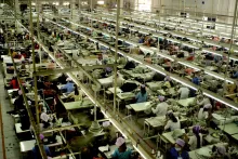 Cientos de personas son víctimas de explotación laboral en España 