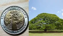 En el parque principal de Hispania, Antioquia se encuentra el árbol samán de Guacarí