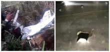 Helicóptero derribado por el Ejército en Frontino, Antioquia.