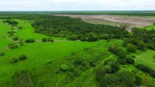 El Madroño muestra que es posible producir y vivir mejor sin afectar la naturaleza.