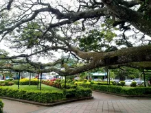 Riqueza natural de Íquira, Huila