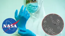 La agencia espacial confirmó una posible liberación microbiana.