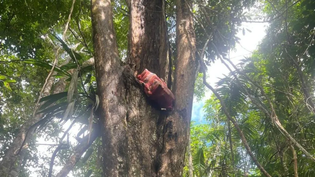 La tonelada y media del estupefaciente fue ubicada por tropas de la Fuerza de Tarea Conjunta Titán, en medio de la espesa selva del corregimiento Guarín, zona rural del municipio de Juradó, Chocó.