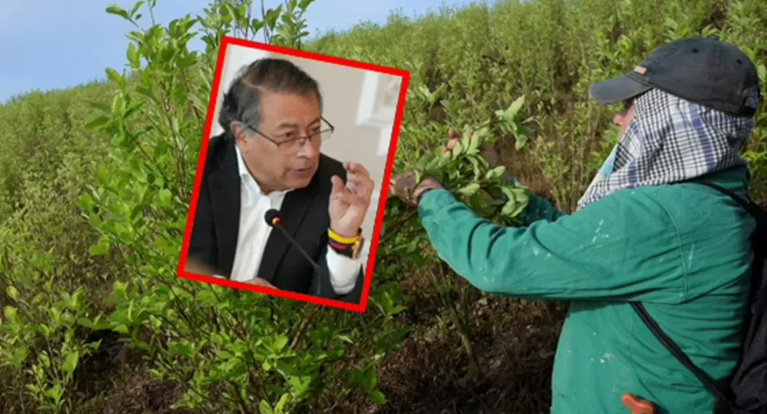 Gustavo Petro planteó la posibilidad luego de que la Oficina de Naciones Unidas contra la Droga y el Delito confirmó que el área sembrada con coca aumentó.