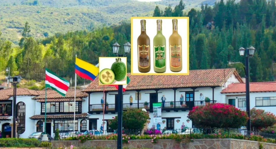 Comprar sabajón de feijoa en Boyacá es muy sencillo porque es en un pueblo cercano a Tunja. Este es un producto infaltable para los turistas.