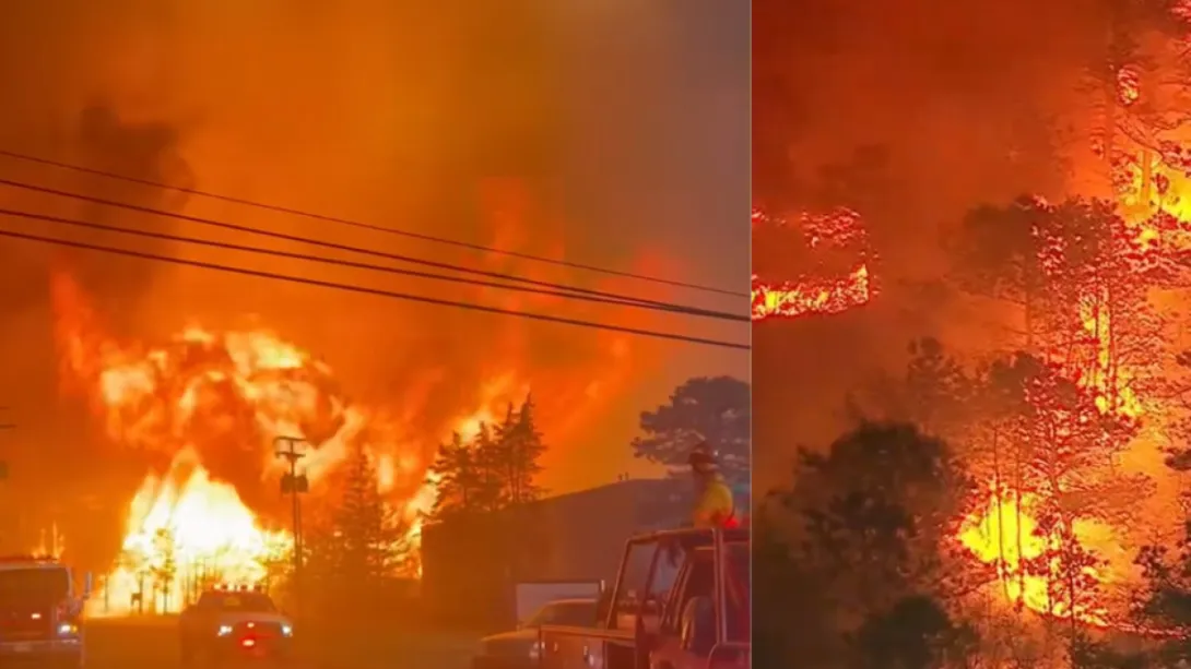• Los hechos se reportaron en un bosque del estado de Nueva Jersey. Más de 30 kilómetros quedaron quemados.
