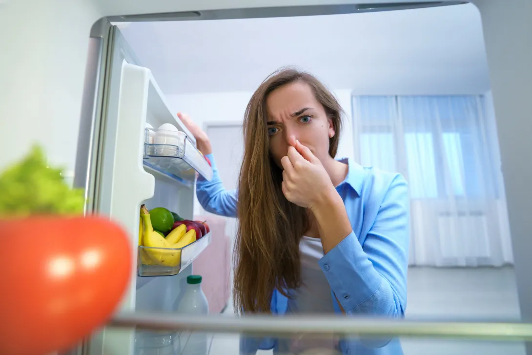Este simple utensilio de baño puede acabar con los malos olores en su nevera