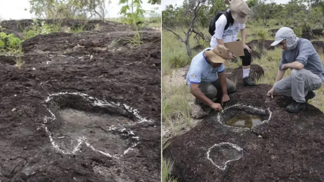 Investigadores descubren huellas de dinosaurios en la Amazonia brasileña: ‘Se han identificado seis géneros’ Las marcas fueron encontradas en formaciones rocosas del municipio de Bonfim, en Roraima, Brasil.
