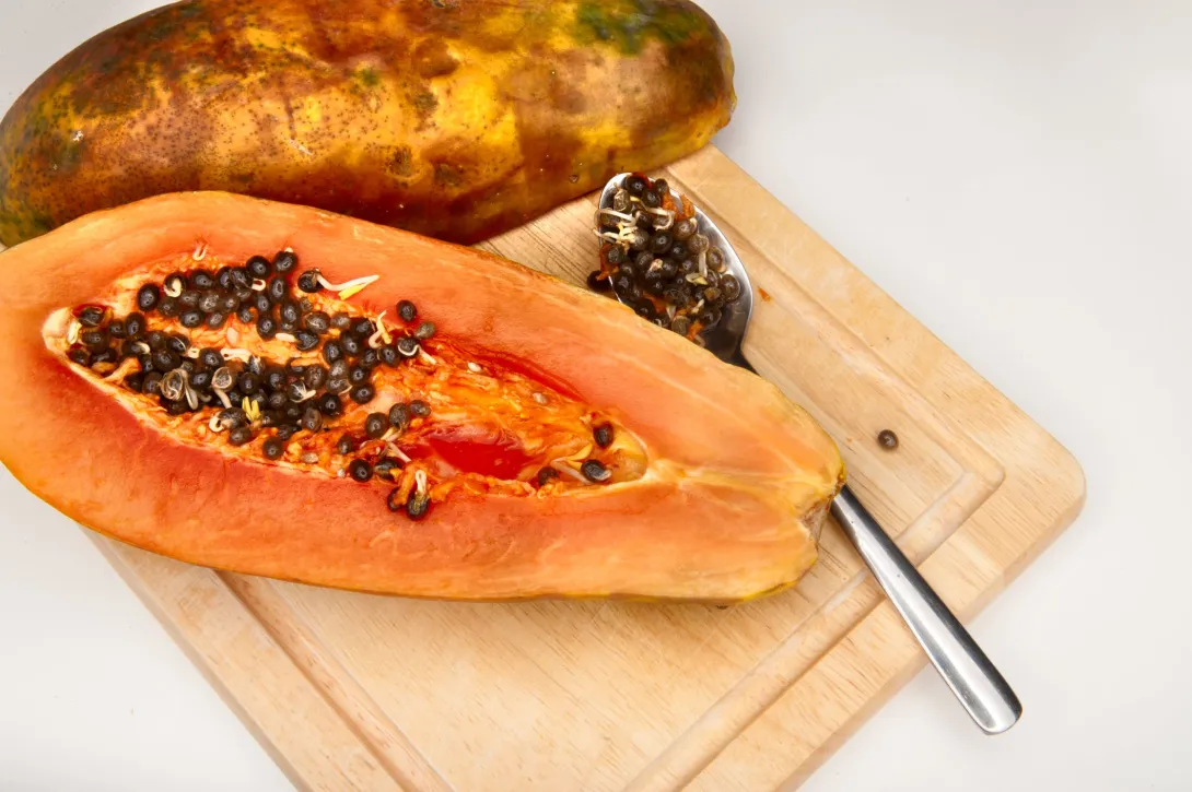 Más de 70 y contando: Petro emprende un nuevo viaje al exterior y visitará Egipto, Arabia Saudita y Qatar La papaya aporta fibra soluble e insoluble que contribuye a regular la absorción de azúcares.