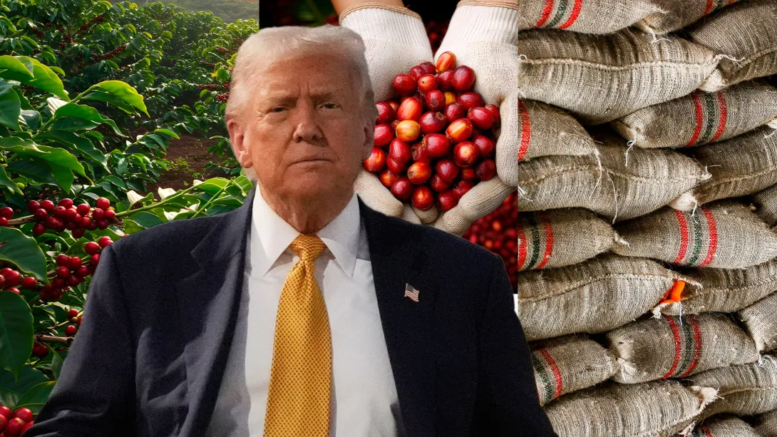 En manos del presidente Donald Trump está la imposición de nuevos aranceles para los productos colombianos a Estados Unidos. Uno de ellos es clave: el café, porque ese país representa el 40% de sus ventas.